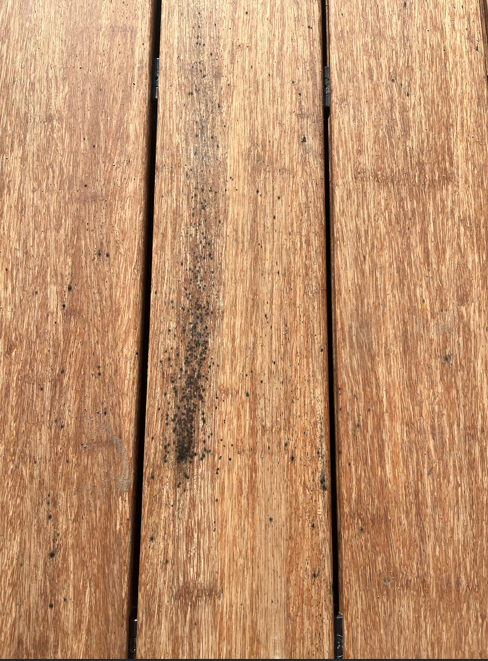 Abhängig vom Pflegezustand, der Lage der Terrasse, der Belüftungssituation und der Einhaltung des vorgeschriebenen Gefälles, können mit der Zeit oberflächige Verunreinigungen (z.B. Grünspan, Stockflecken oder Schimmel) entstehen.